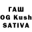 Галлюциногенные грибы Psilocybe Karilgash Dauetova