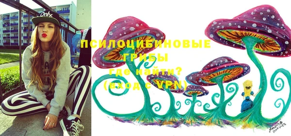a pvp Алзамай