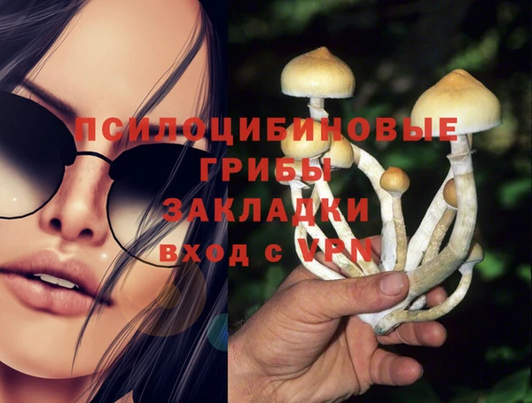 хмурый Заводоуковск