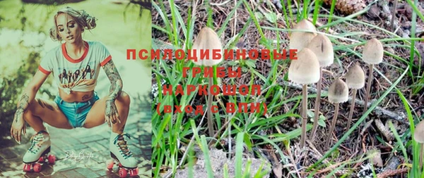 дживик Алексин