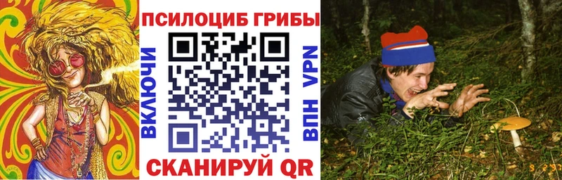 mega сайт  Ардон  Псилоцибиновые грибы Psilocybine cubensis 